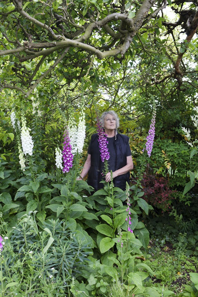 Professor Germaine Greer in her garden, Saffron Walden, Essex, UK - June 2012