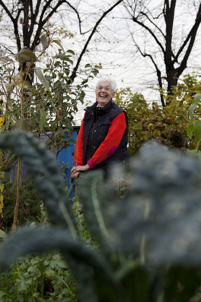 Joy Larkcom at an East london allotment, UK - November 2012