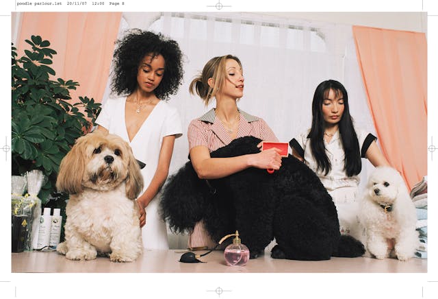 'Poodle Parlour' by Nancy Honey - Page: 8